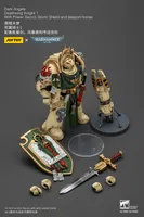 JOYTOY Dark Angels Deathwing Knight 1 With Power Sword, Storm Shield and teleport homer - Warhammer 40K - photo 21