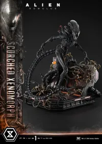 Prime 1 Studio Museum Masterline XL Alien: Romulus Scorched Xenomorph Deluxe Bonus Version - Alien (Movie Franchise) - photo 11