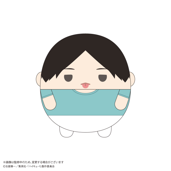 Haikyu!! FUWA KORORIN BIG 9 (ITEM D)