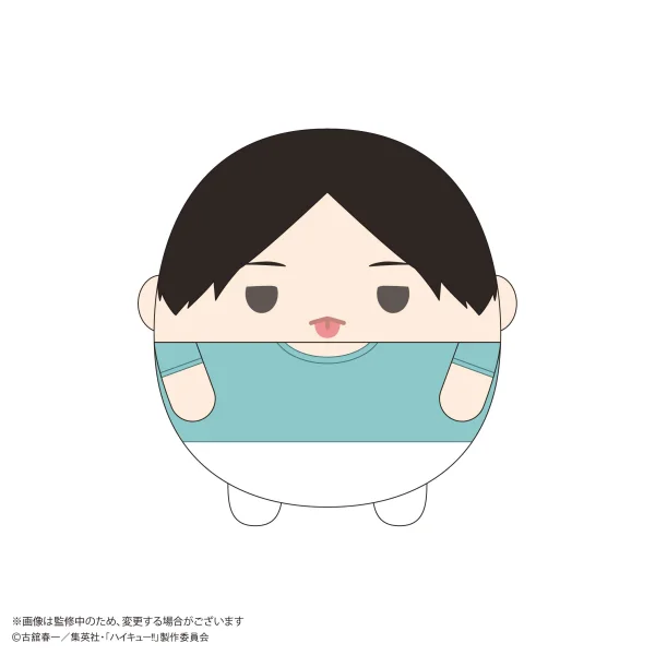 MAX LIMITED Haikyu!! FUWA KORORIN BIG 9  (ITEM D) - Haikyu!!