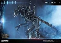 Prime 1 Studio Premium Masterline Aliens (Comics) Warrior Alien DX Bonus Version - Alien (Movie Franchise) - photo 98