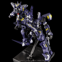 RIOBOT AM BOXER 3