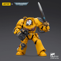 Imperial Fists Terminator 1 with Power Sword and Storm Bolter 4