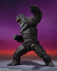 KONG FROM GODZILLA x KONG: THE NEW EMPIRE [2024], TAMASHII NATIONS S.H.MonsterArts 4