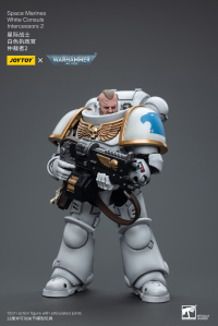 Space Marines White Consuls Intercessors 2 6