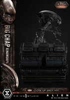 Museum Masterline XL Alien (Film) Big Chap Xenomorph Close Up Shot Ver. DX Bonus Version			 34
