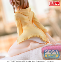 "Atelier Ryza: Ever Darkness & The Secret Hideout" PM Perching Figure "Reisalin Stout" 5