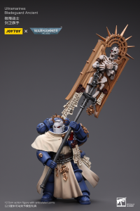 Ultramarines Bladeguard Ancient 8