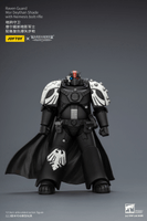 Raven Guard Mor Deythan Shade with Nemesis bolt rifle 14