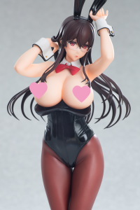 Succubus Stayed Life Tohko Sakuramachi Bunny ver. 21