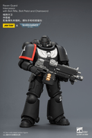 Raven Guard Intercessor with Bolt Rifle, Bolt Pistol and Chainsword 18
