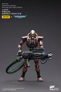 JOYTOY Necrons Szarekhan Dynasty lmmortal with Tesla Carbine [2PCS] - Warhammer 40K - photo 2