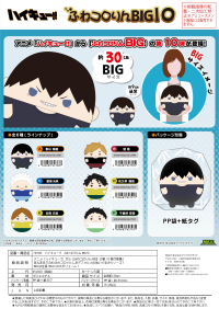 Haikyu!! FUWA KORORIN BIG 10 (Item D) 3
