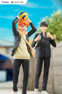 TENITOL HINATA SHOYO 6