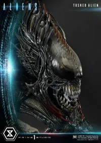 Prime 1 Studio Premium Masterline Aliens (Comics) Tusked Alien Bonus Version - Alien (Movie Franchise) - photo 10