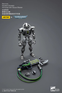 WH40K-Necrons Sautekh Dynasty Immortal with Gauss Blaster 2