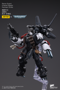 Raven Guard Chapter Master Kayvaan Shrike 8