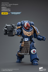 Ultramarines Intercessor Veteran Sergeant Brother Aeontas 6