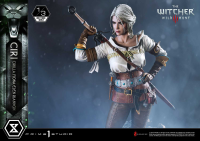 Museum Masterline The Witcher 3: Wild Hunt Ciri Fiona Elen Riannon 46