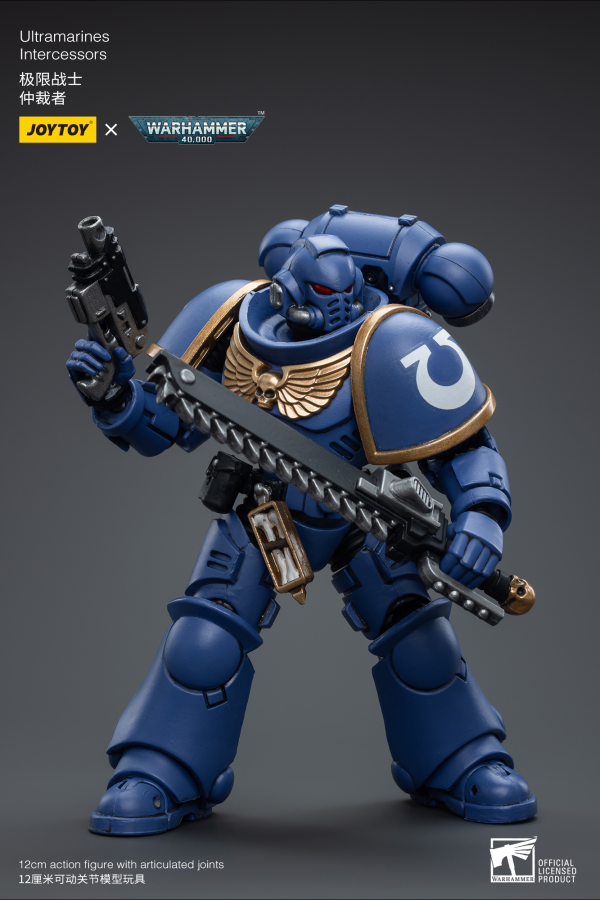 Ultramarines Intercessors