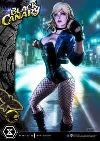 Prime 1 Studio Museum Masterline DC Comics Black Canary EX Bonus Version - DC Comics - photo 52