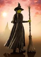 TAMASHII NATIONS Elphaba "Wicked" - Wicked - photo 1