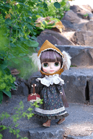 Blythe Hazel the Hedgehog 5