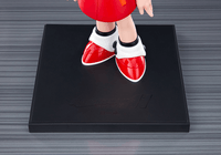 ROLL OSHI WORKS 10