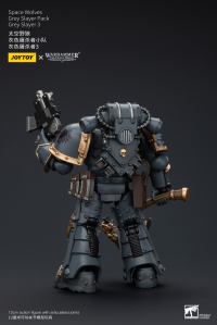 Space Wolves Grey Slayer Pack Grey Slayer3 8