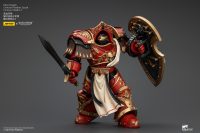 Blood Angels Crimson Paladins Squad Crimson Paladin 2 12