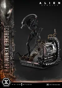 Prime 1 Studio Museum Masterline XL Alien: Romulus Scorched Xenomorph Deluxe Bonus Version - Alien (Movie Franchise) - photo 15