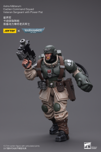 Astra Militarum Cadian Command Squad Veteran Sergeant with Power Fist 2