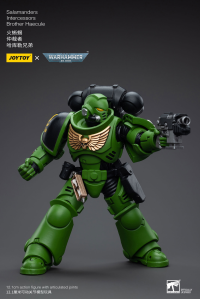 Salamanders Intercessors Brother Haecule 1