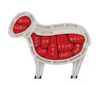 MegaHouse Lamb Puzzle , Megahouse Kaitai Puzzle - Kaitai Lamb - photo 11