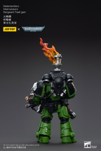 Salamanders Intercessors Sergeant Tsek'gan 2