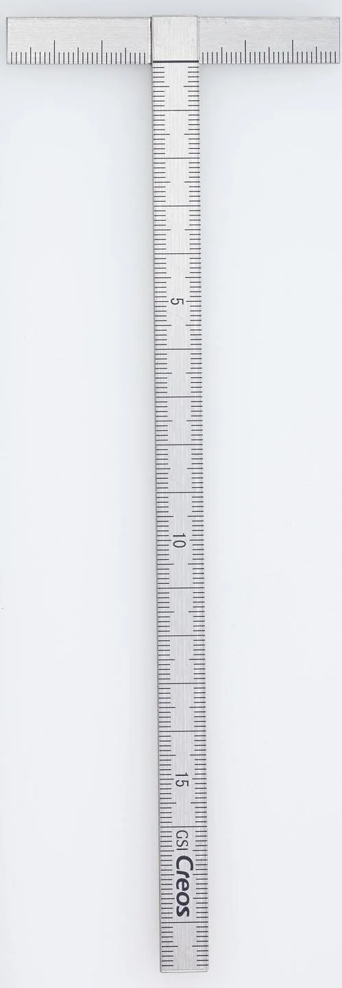 Mr T-Type Ruler Large
