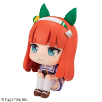 Lookup Uma Musume Pretty Derby Silence Suzuka 9