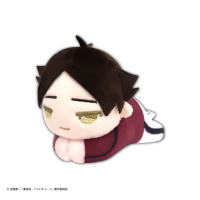 Haikyu!! HUG CHARACTER COLLECTION5 (6pc per box) 4
