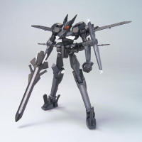 HG 1/100 #06 Over Flag 4