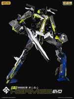 AMTS IB-16 HERMES EVO 5