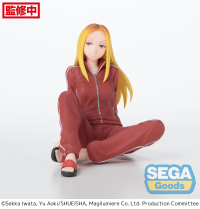 "Magilumiere Co. Ltd." PM Perching Figure "Hitomi Koshigaya" 1