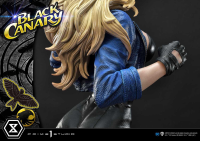 Museum Masterline DC Comics Black Canary 11