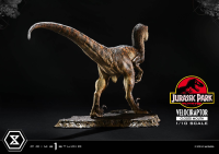 Prime Collectible Figures  Jurassic Park (Film)  Velociraptor  Closed Mouth 4
