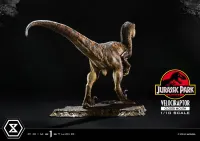Prime 1 Studio Prime Collectible Figures  Jurassic Park (Film)  Velociraptor  Closed Mouth - Jurassic Park - photo 4