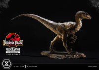 Prime Collectible Figures  Jurassic Park (Film)  Velociraptor  Closed Mouth 6