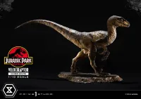 Prime 1 Studio Prime Collectible Figures  Jurassic Park (Film)  Velociraptor  Closed Mouth - Jurassic Park - photo 6