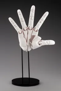 KOTOBUKIYA ARTIST SUPPORT ITEM HAND MODEL/R -WHITE- - Art & Display - photo 8