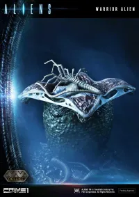 Prime 1 Studio Premium Masterline Aliens (Comics) Warrior Alien DX Bonus Version - Alien (Movie Franchise) - photo 81