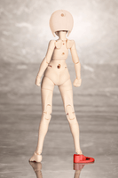 B1R-M CHASSIS KIT SKIN COLOR C 4