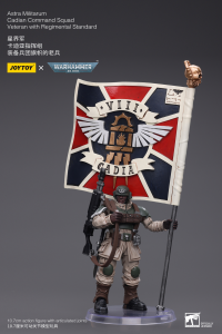 Astra Militarum Cadian Command Squad Veteran with Regimental Standard 1